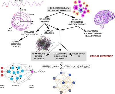 A Review of Mathematical and Computational Methods in Cancer Dynamics